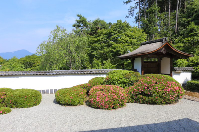 正伝寺庭園（現在の景観）