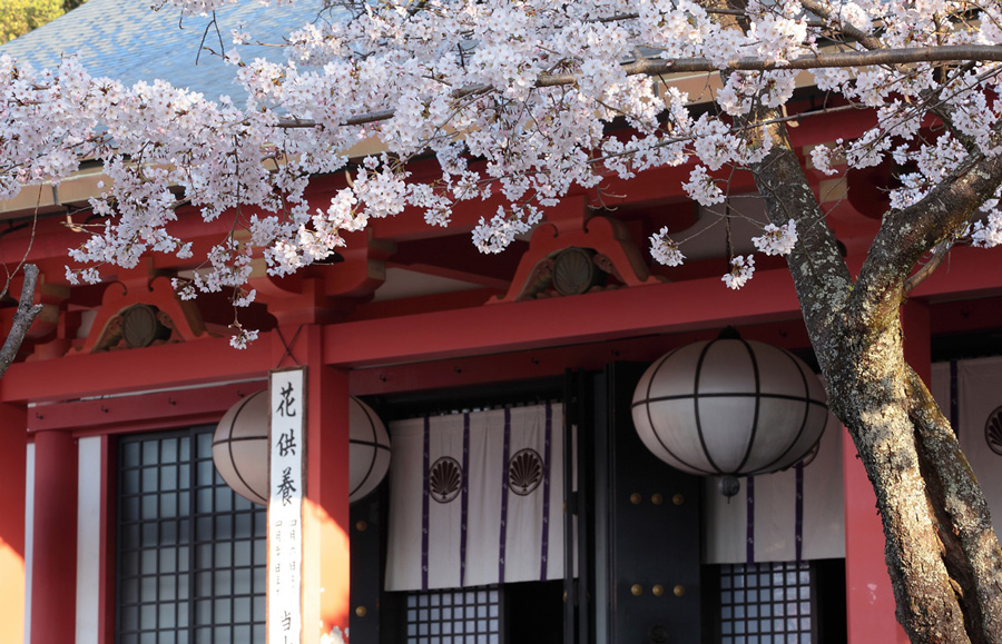 鞍馬寺本殿金堂