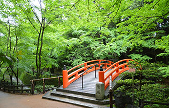 北野天満宮もみじ苑